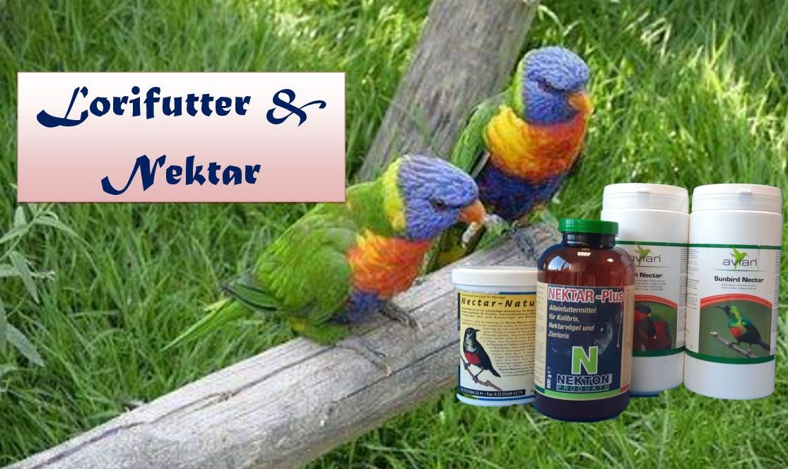 Lorifutter & Nectar